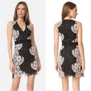 Alice + Olivia Black and Cream Floral Lace Mini Dress